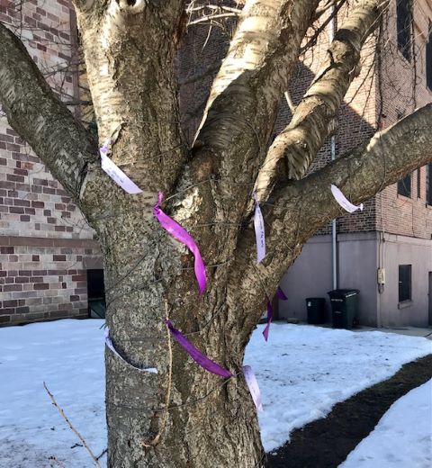 2021 Lenten Prayer Tree