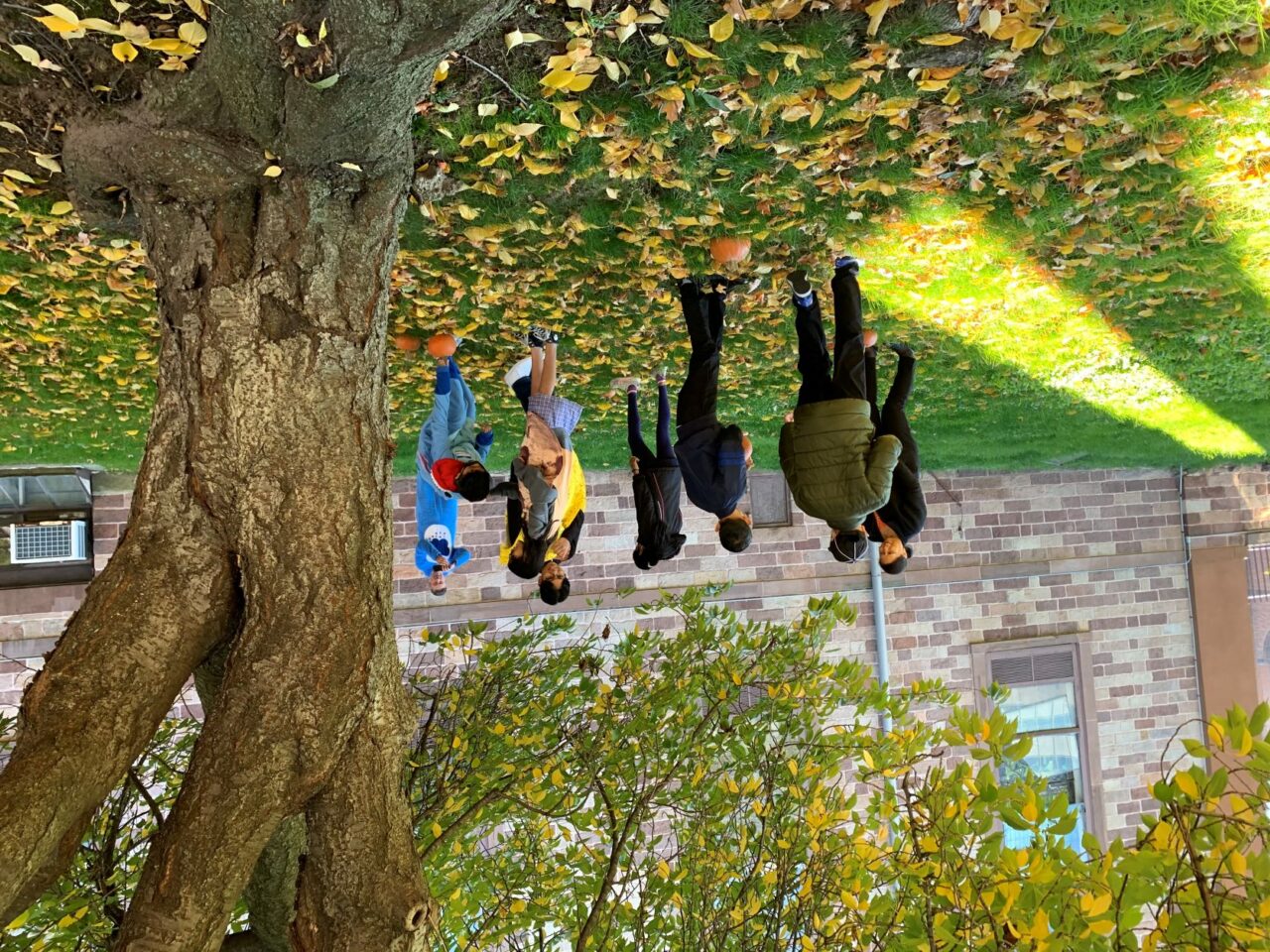 2022 Fall Celebration