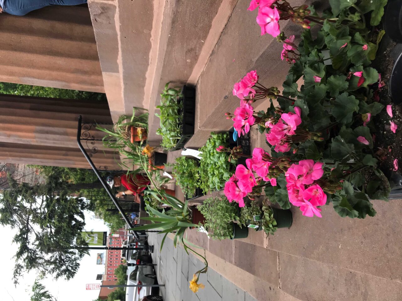 2023 DEACONS PLANT SALE