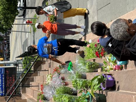 2024 Deacons Plant Sale
