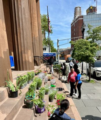 2024 Deacons Plant Sale